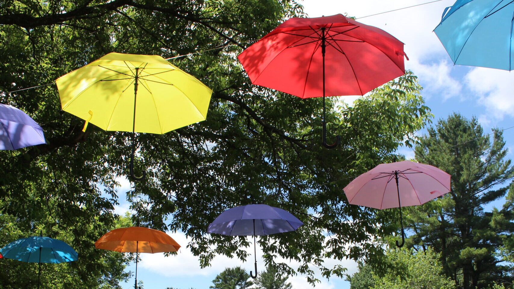 Photo des parapluies