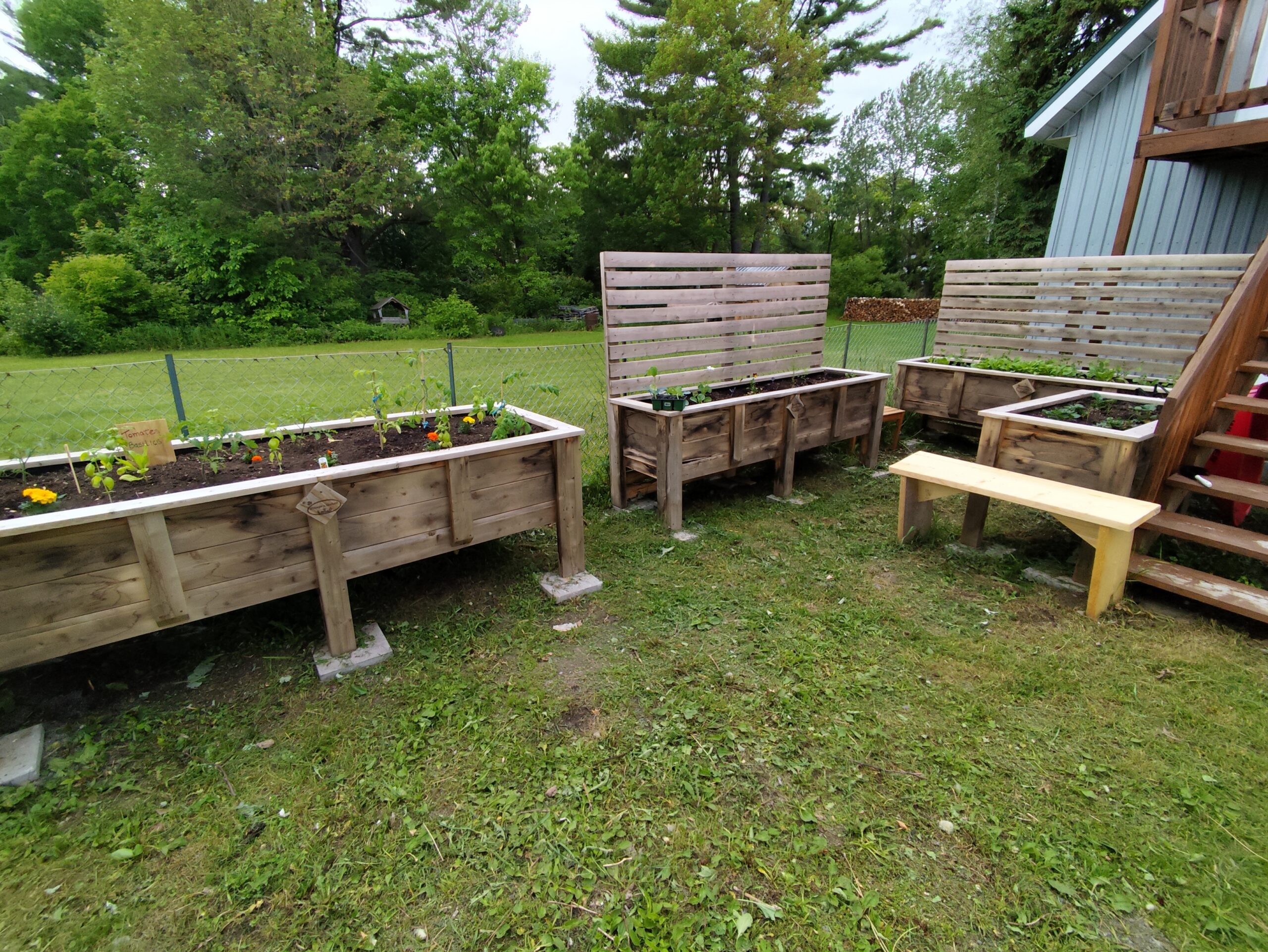 Photo du camion avec des denrées alimentaires 2