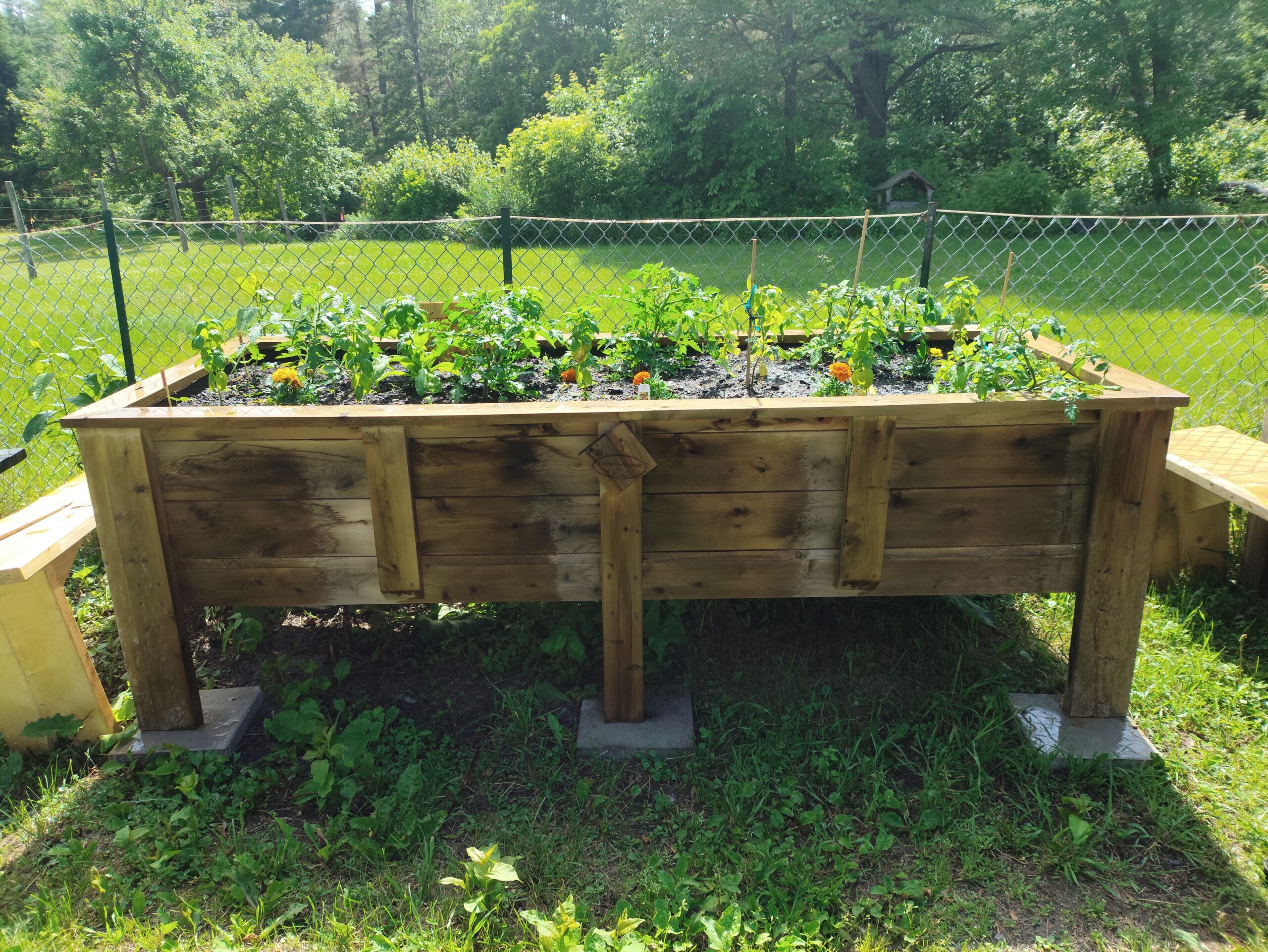 Photo du camion avec des denrées alimentaires 2