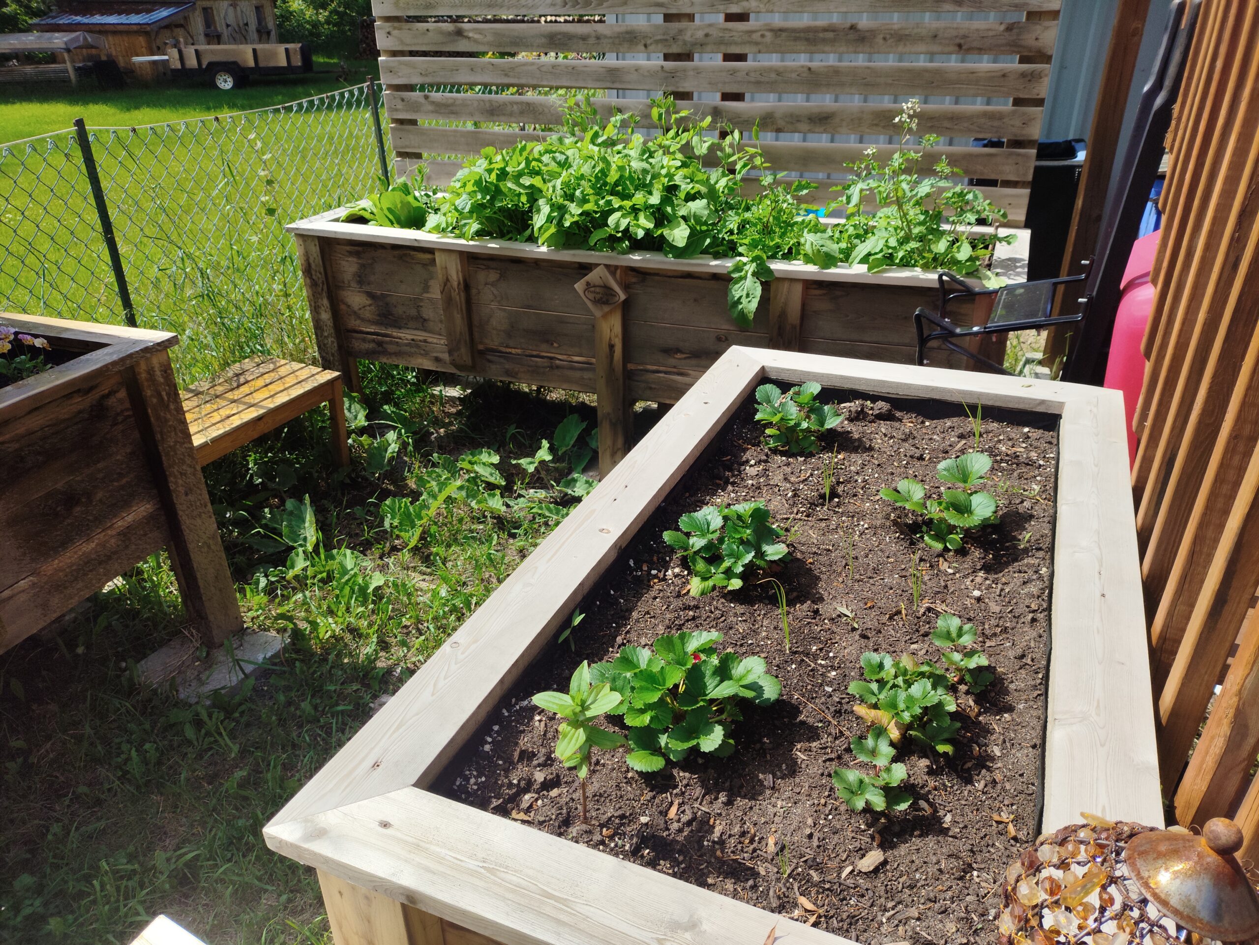 Photo du camion avec des denrées alimentaires 3