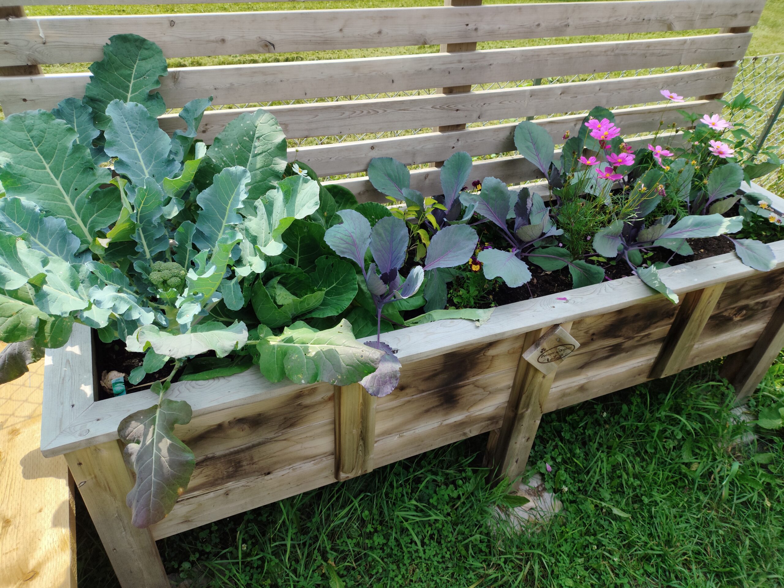 Photo du camion avec des denrées alimentaires 4