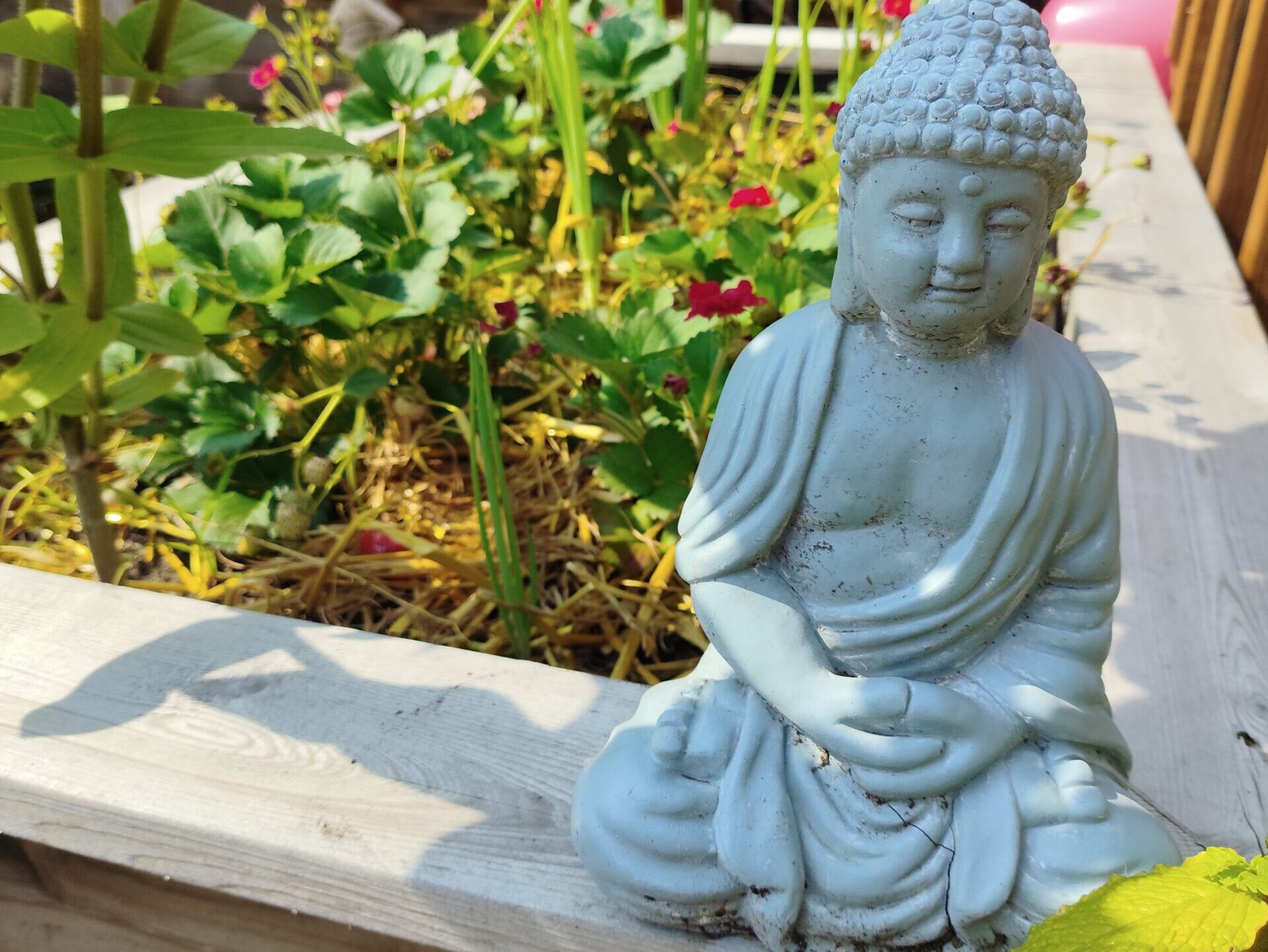 Photo du bouddha dans le jardin