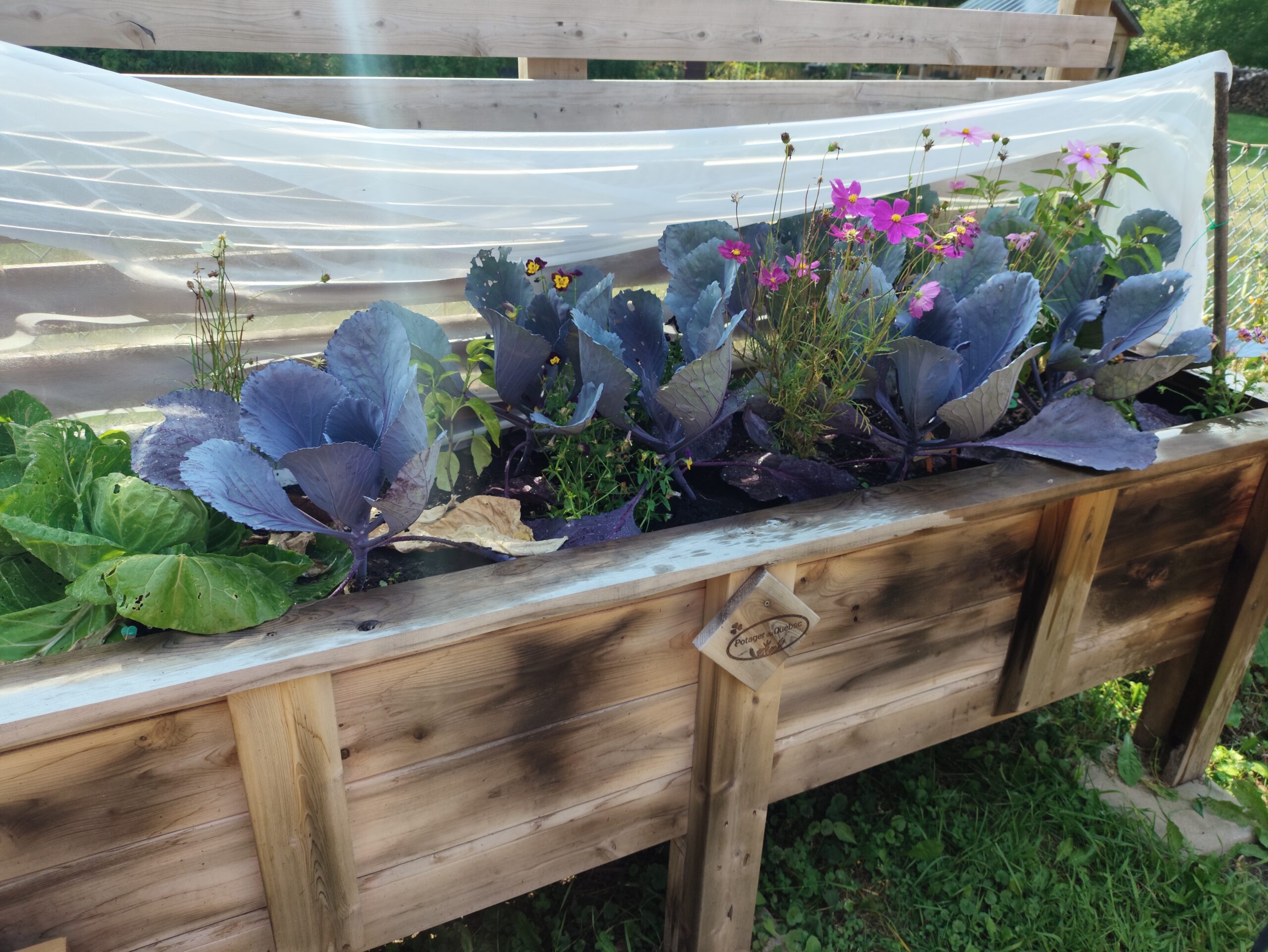 Photo du camion avec des denrées alimentaires 4