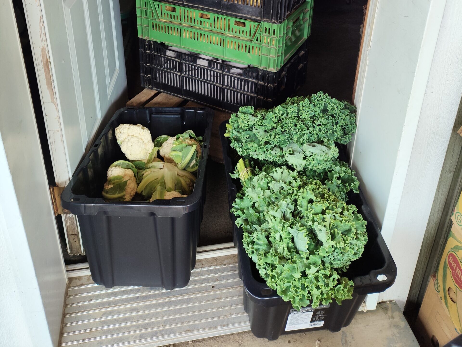 Photo du camion avec des denrées alimentaires 3