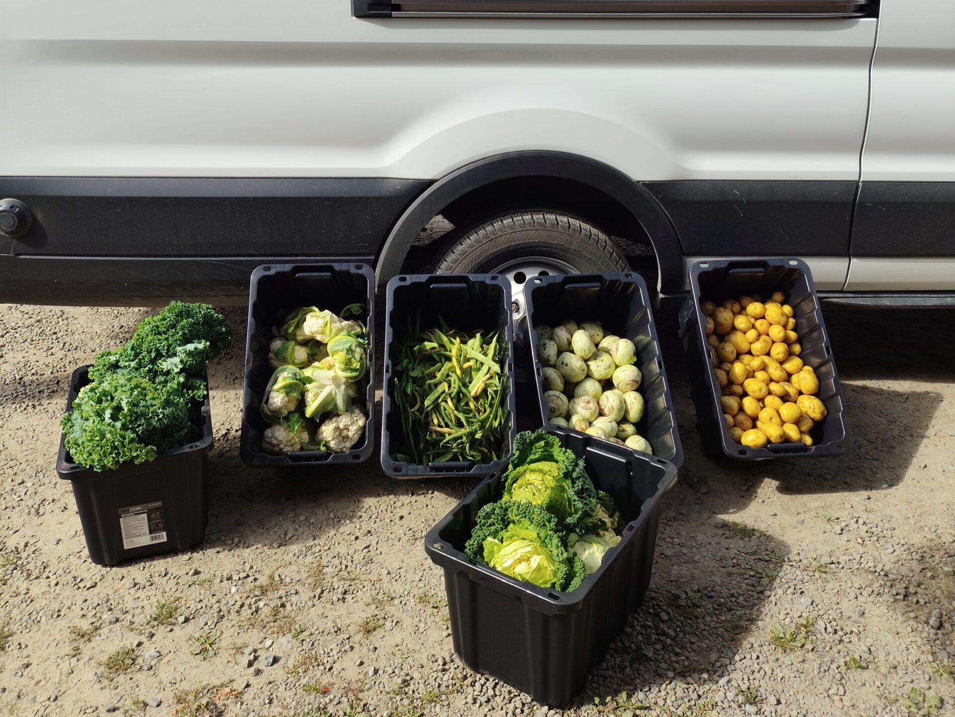 Photo du camion avec des denrées alimentaires 2