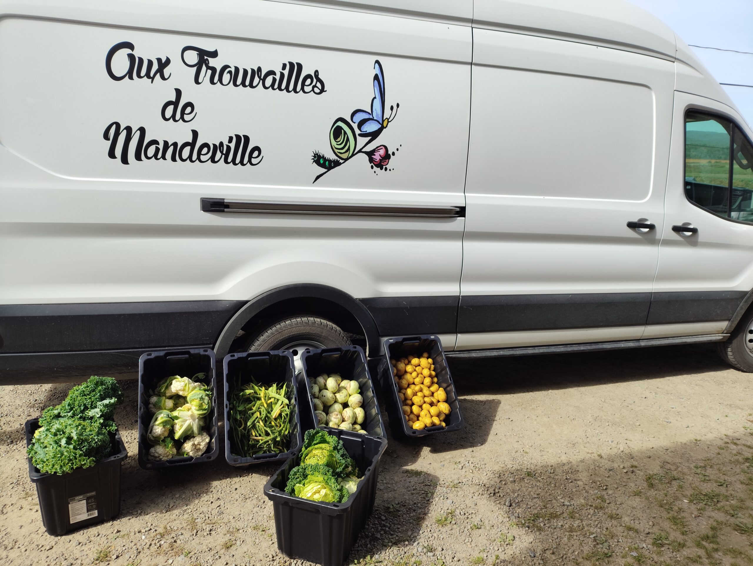 Photo du camion avec des denrées alimentaires 1